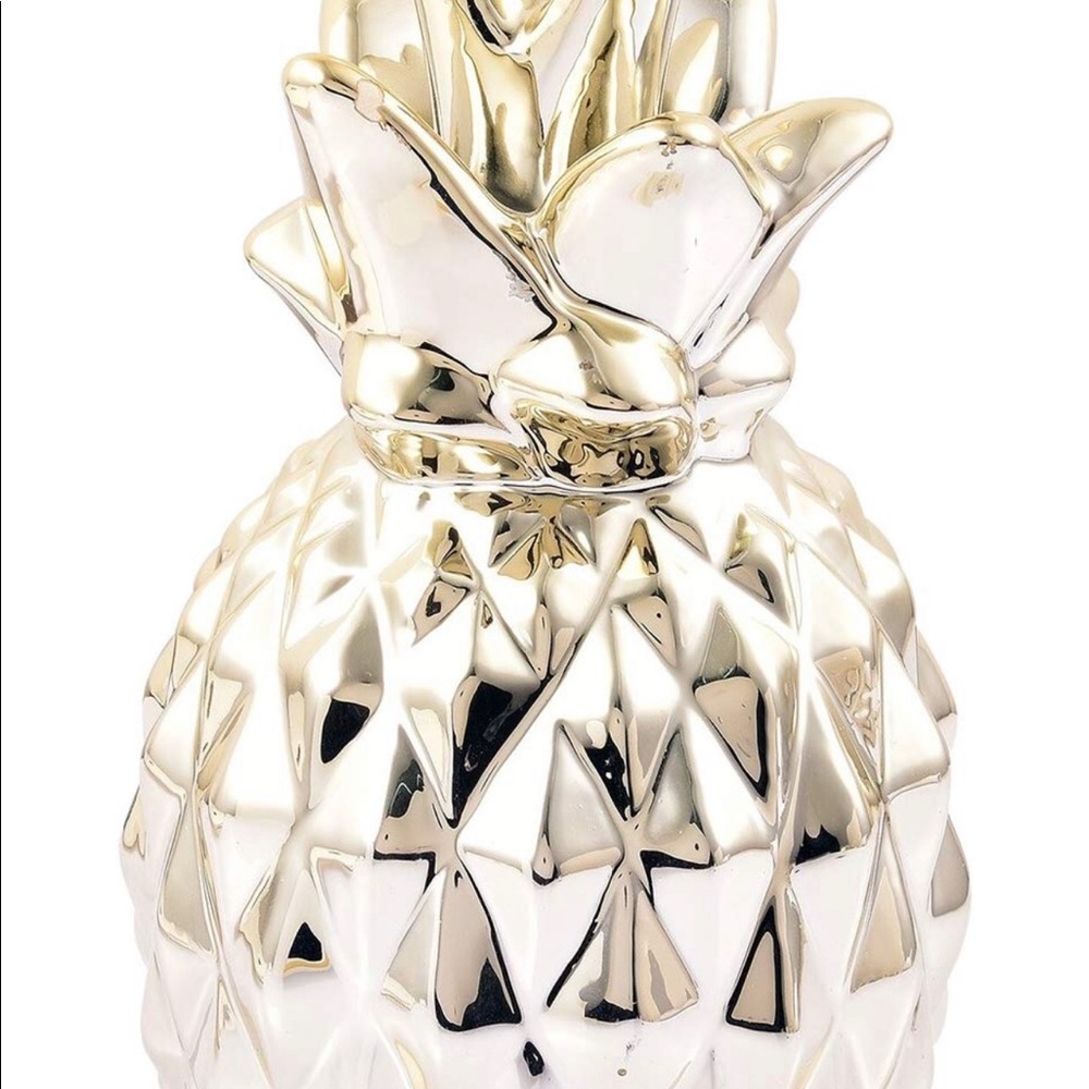 Brand New Pineapple Coin Bank
